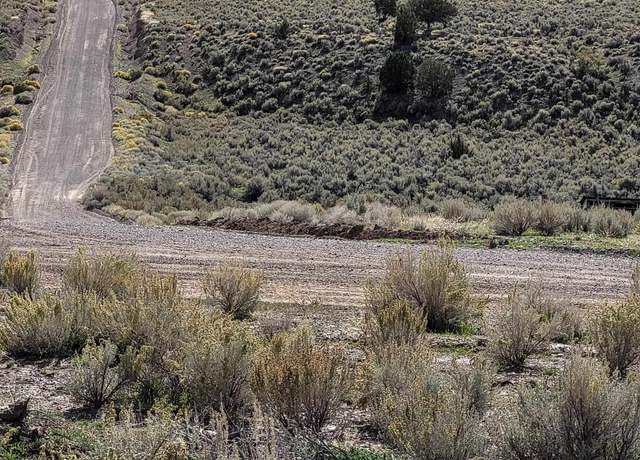 Property at TBD Trout Creek Road Apn 007-22-59, Battle Mountain, NV 89820