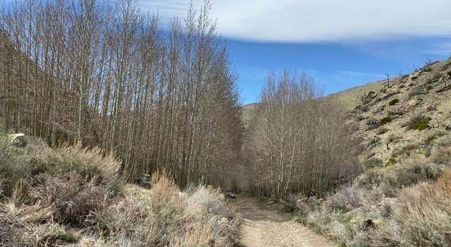 Photo of TBD Minnehaha Canyon(120), Wellington, NV 89444