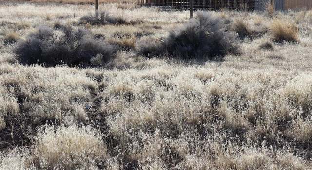 Photo of 550 Pioneer, Mcdermitt, NV 89421