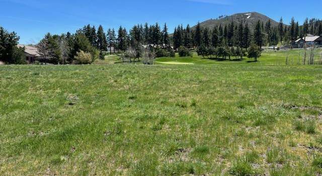 Photo of 41 Lightning W Ranch Rd, Washoe Valley, NV 89704