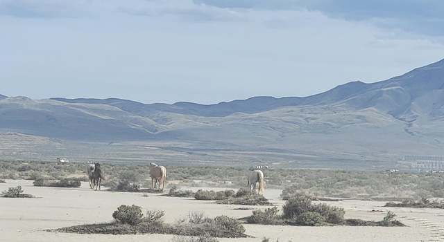 Photo of APN 07416144, Reno, NV 89510