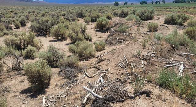 Photo of TBD Grant Vw, Wellington, NV 89444