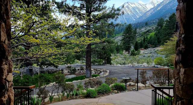 Photo of 1220 Quail Ridge Rd, Gardnerville, NV 89460
