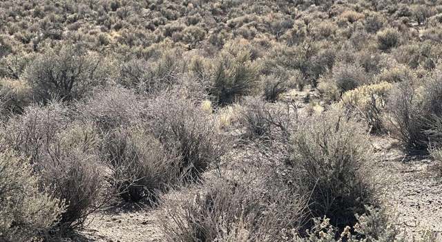 Photo of 355 Ludwig, Smith, NV 89430