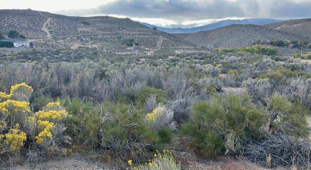 Photo of 6366 Sierra Vista Ln, Carson City, NV 89701