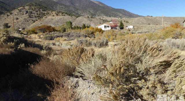 Photo of 2 Guadalajara Ct, Kingston, NV 89310