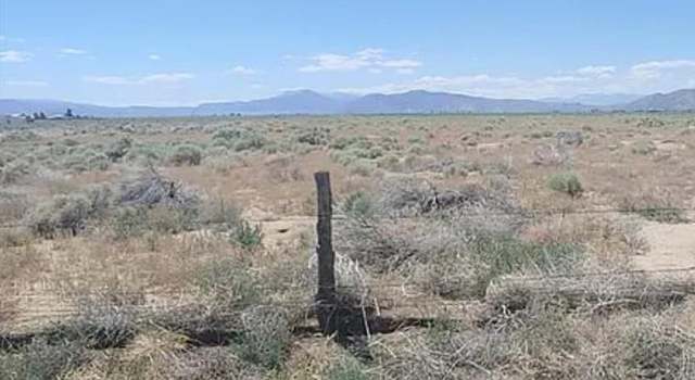 Photo of Lot 1 Green Area, Smith, NV 89444