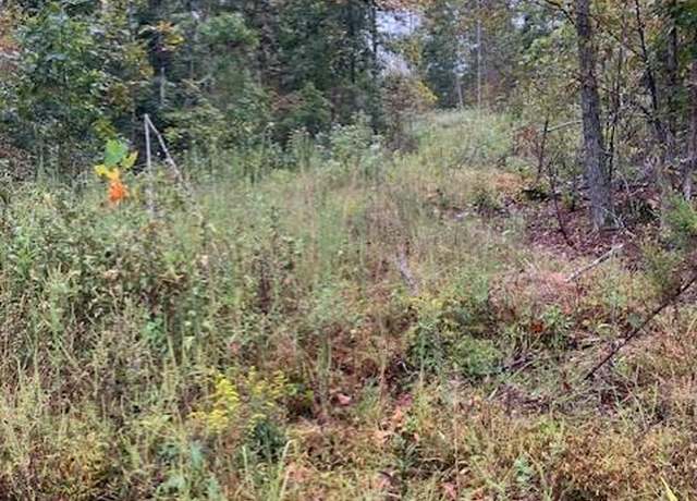 Property at 32 Madison CR 410, Fredericktown, MO 63645