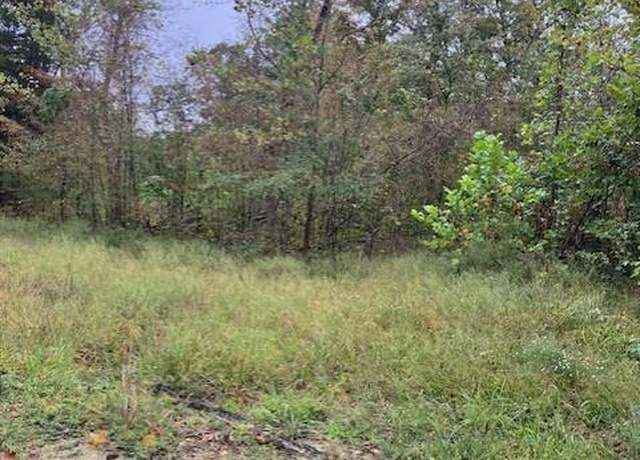 Property at 33 Madison CR 410, Fredericktown, MO 63645