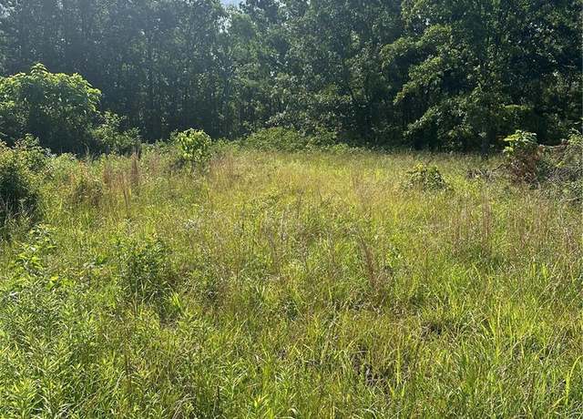 Property at 21 Hwy 21 N, Doniphan, MO 63935