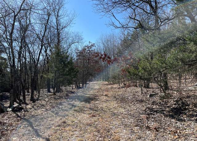 Property at 0 County Road 349a, Piedmont, MO 63957