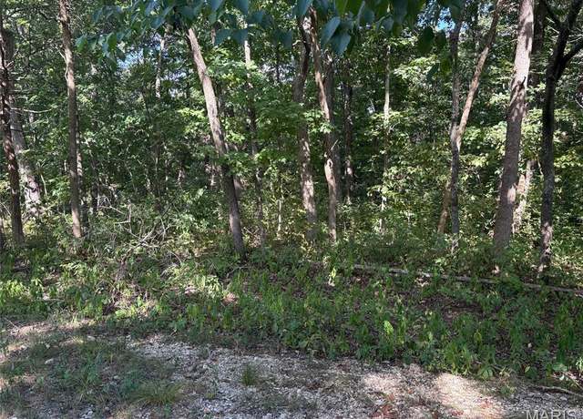 Property at 56 Turkey Trl, New Florence, MO 63363