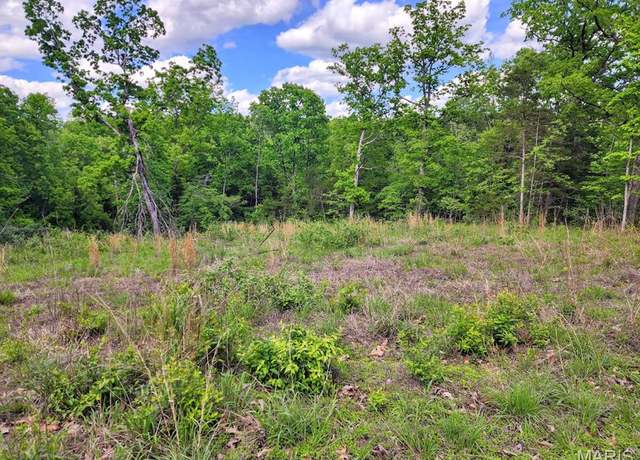 Property at 0 Rue Marseilles, Bonne Terre, MO 63628