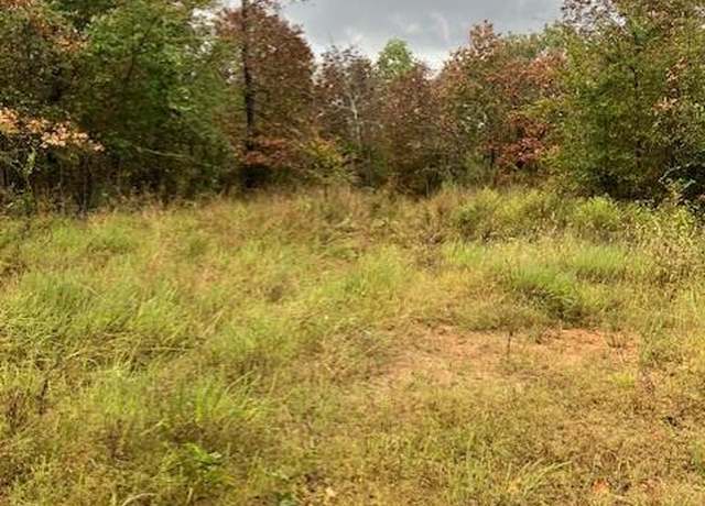Property at 43 Madison CR 410, Fredericktown, MO 63645