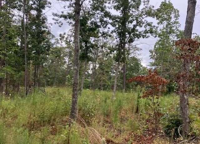 Property at 44 Madison CR 410, Fredericktown, MO 63645