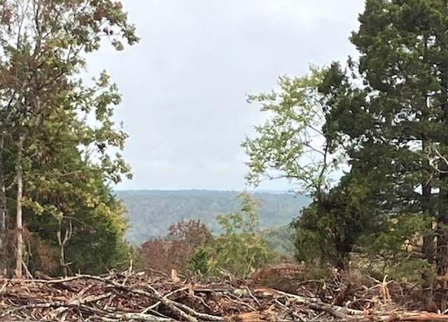 Property at 46 Madison CR 410, Fredericktown, MO 63645
