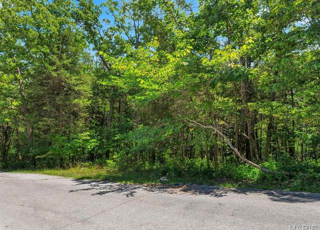 Property at 9630 Duffer Dr, Hillsboro, MO 63050
