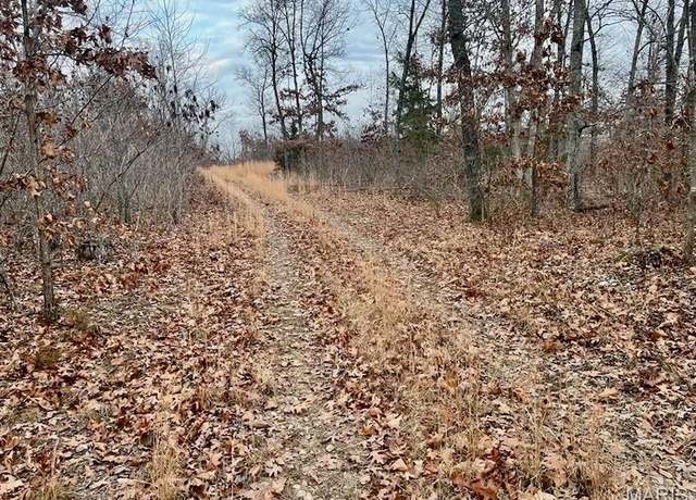 Property at 0 125.87 Ac Tract1-a Clear Creek Rd, Richwoods, MO 63071