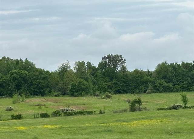 Property at .0 County Road 249, Bloomfield, MO 63825