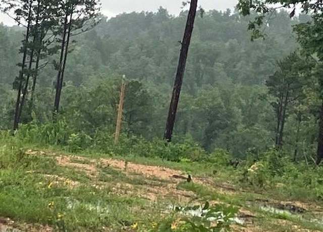 Property at 69 Madison CR 410, Fredericktown, MO 63645