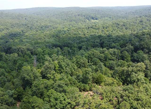 Property at 16426 Stone Ridge Rd, Potosi, MO 63664