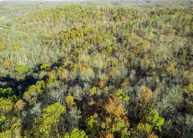 Property at 0 County Road 336, Annapolis, MO 63620