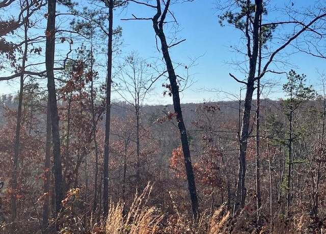 Property at 55 Madison CR 410, Fredericktown, MO 63645