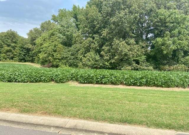 Property at 0 Brookfield Dr, Dexter, MO 63841