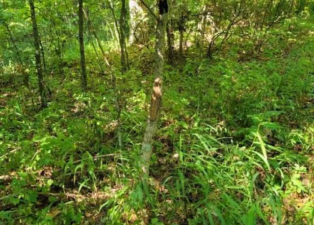 Property at 0 0 County Hwy 410, Ellington, MO 63638
