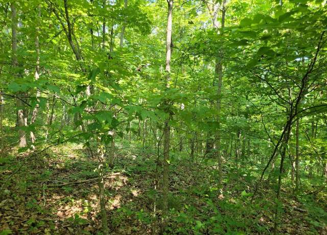 Property at 0 00 County Highway 410, Ellington, MO 63638