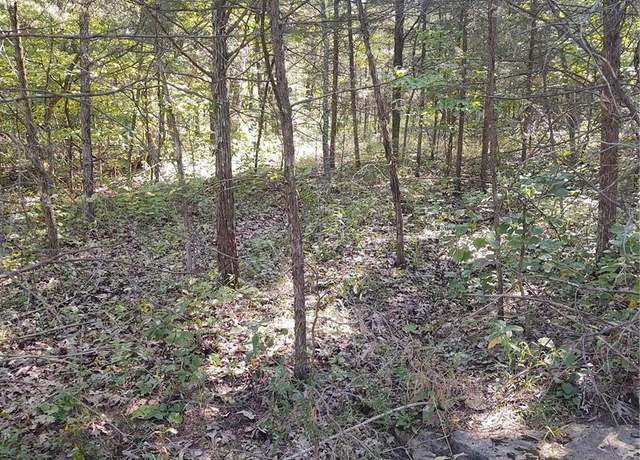 Property at 0 Rue Celeste, Bonne Terre, MO 63628
