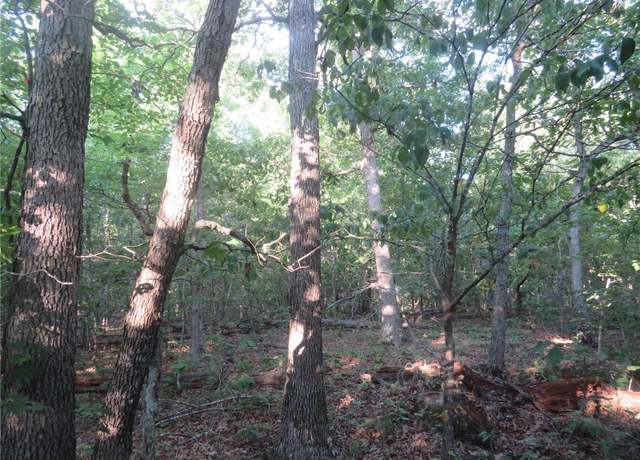 Property at 0 County Road 748, Bunker, MO 63633