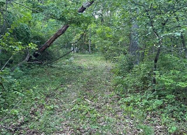 Property at 144 Jabin Farm Rd, Wright City, MO 63390