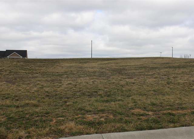 Property at 11 West Chicory Ct, Hannibal, MO 63401