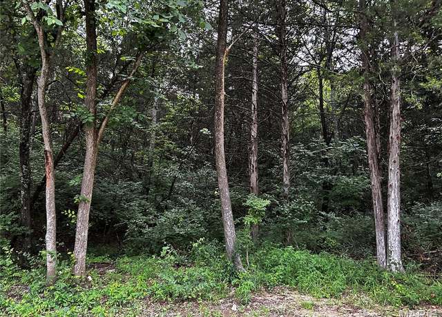 Property at 237 Incline Village (red Cedar), Foristell, MO 63348