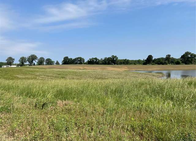 Property at 0 Tract 5 County Road 260/262, Bloomfield, MO 63825