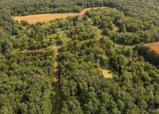 Property at 0 Abbott, Bellflower, MO 63333