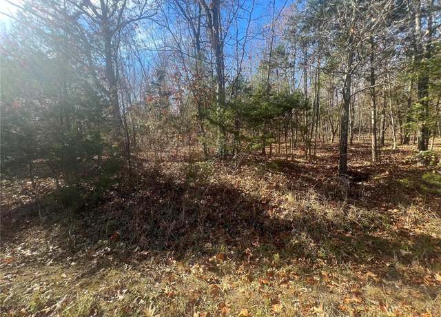 Property at 0 Mimeaux Ct, Bonne Terre, MO 63628