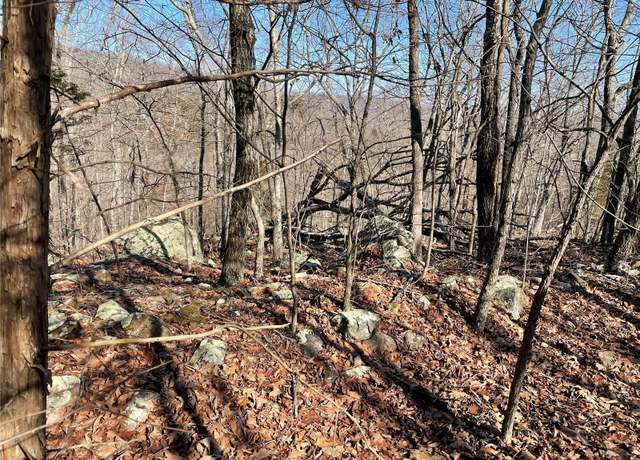 Property at 700 Lori Ln, Ironton, MO 63650
