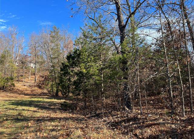 Property at 0 Amy Ct, Bonne Terre, MO 63628