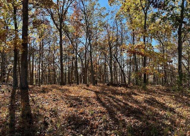 Property at 5046 Squire Ln #5046, Cedar Hill, MO 63016