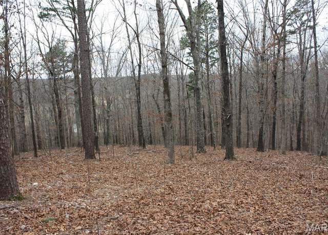 Property at 0 Carter 154, Fremont, MO 63941