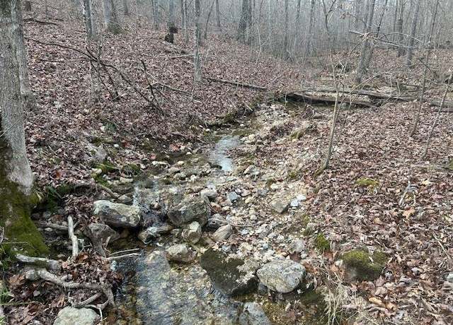 Property at 0 Private Rd. 9516, Fredericktown, MO 63645