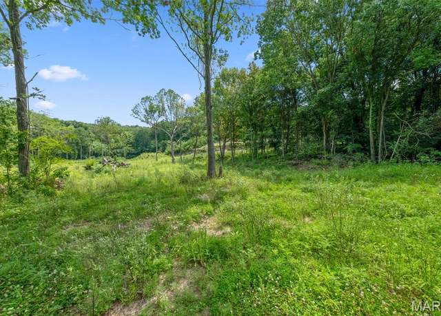 Property at 12.5 +/- Ac Twin Riv, Eureka, MO 63025
