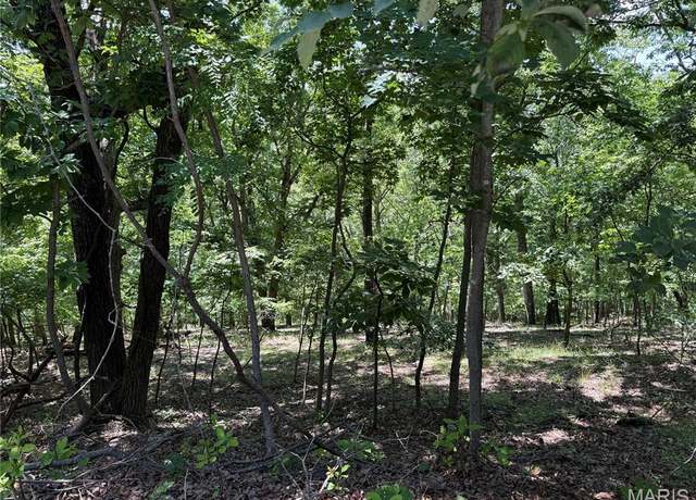 Property at 1361 Bear Canyon Rd, Wildwood, MO 63021