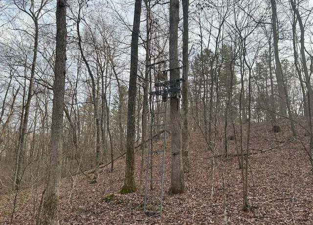 Property at 1 Private Rd. 9516, Fredericktown, MO 63645