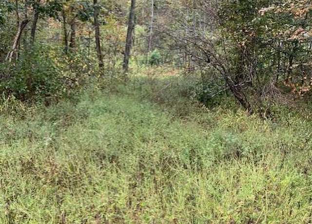 Property at 162 Madison CR 410, Fredericktown, MO 63645