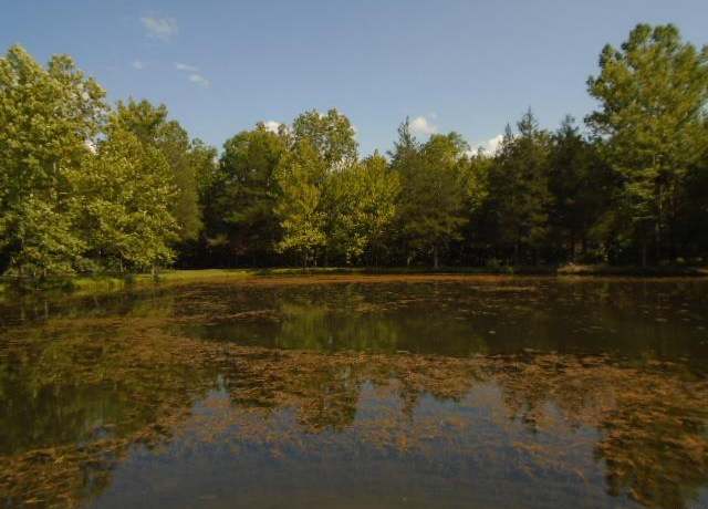 Property at 0 County Road 135, Annapolis, MO 63629