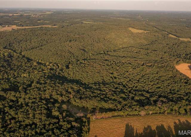 Property at 00 Abbott Rd, Montgomery, MO 63333