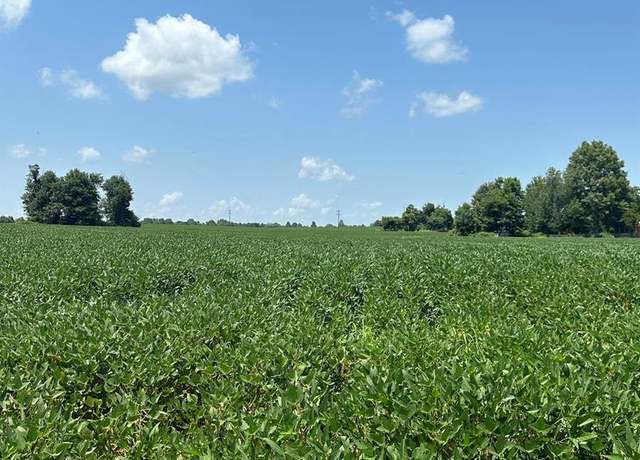 Property at 0 Highway 62, Campbell, MO 63933